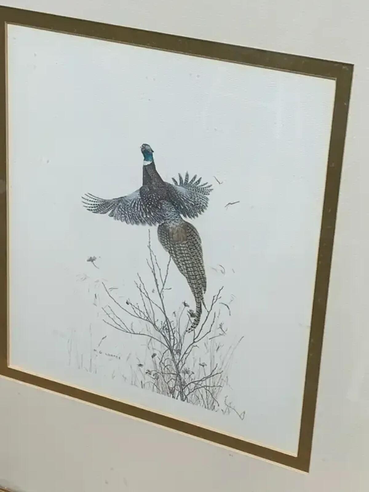 Vintage Wildlife Prints - set of 2