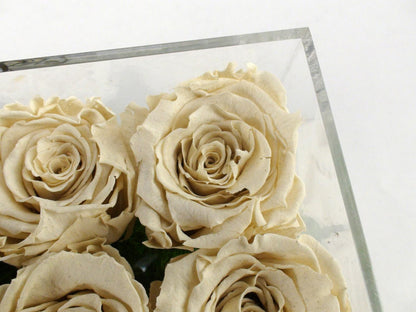 RD Eternal Roses Box Of 16 White Roses - Rose Deluxe, Pre-Owned