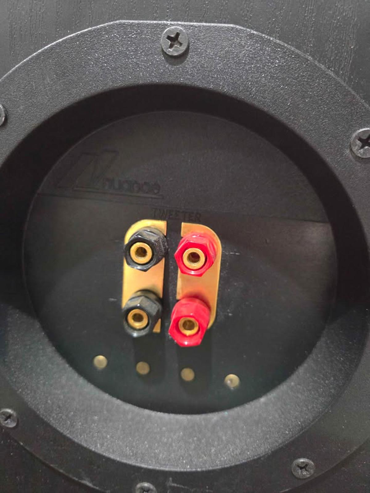 Nuance Advantage Floor Speakers Pair