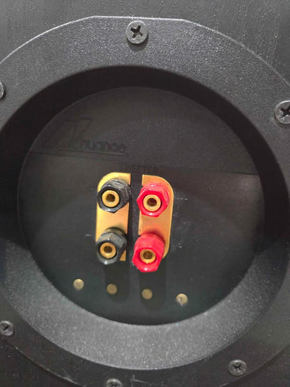 Nuance Advantage Floor Speakers Pair