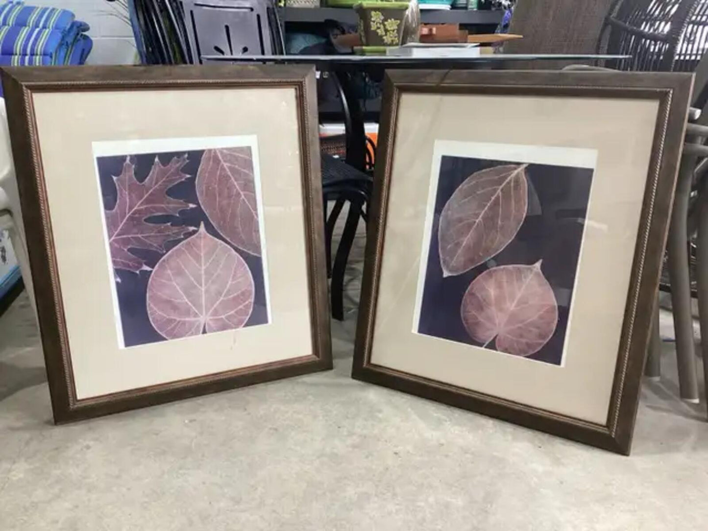 Framed Leaf Wall Art - Julie Greenwood - 2 Available