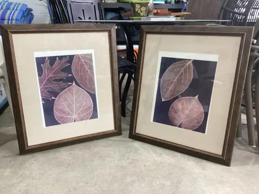 Framed Leaf Wall Art - Julie Greenwood - 2 Available