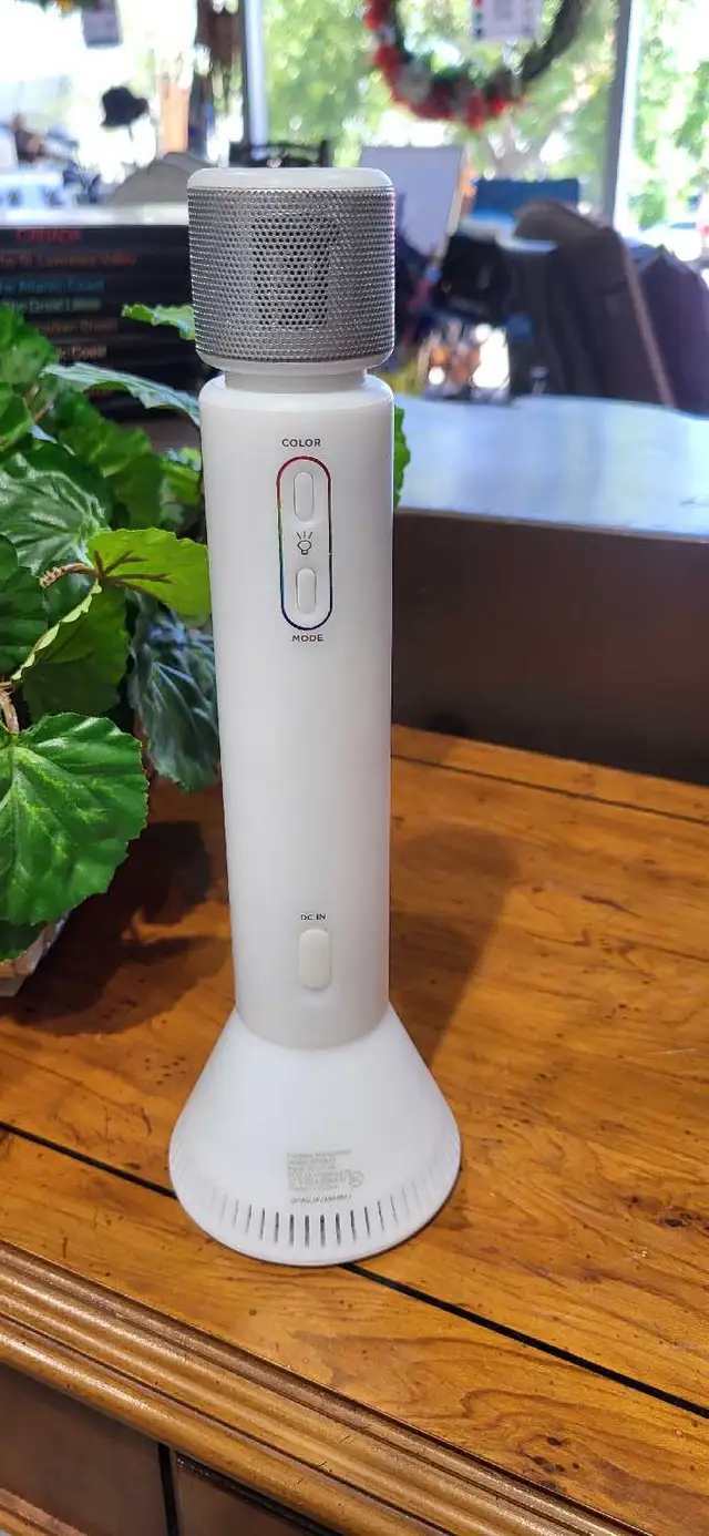 Singsation Karaoke Microphone