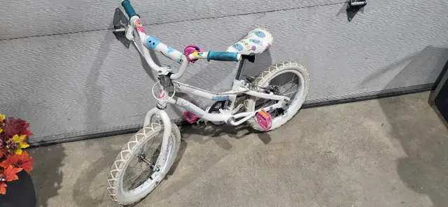Nakamura Dream Bike ages 3-6