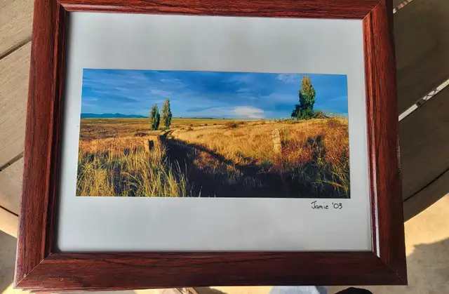 Set of 4 Framed Nature Photography Prints