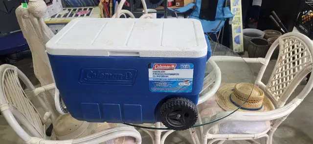 Coleman Cooler 47L - Blue - stains on lid