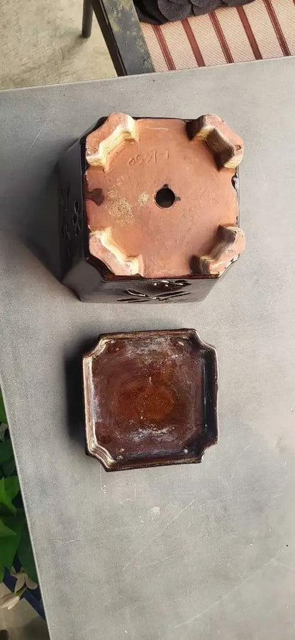 Ceramic Dragonfly Planter with Tray 7 x 7 x 6.5