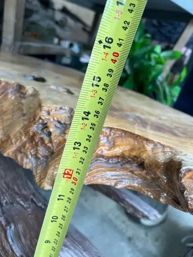 Live Edge Root Coffee Table