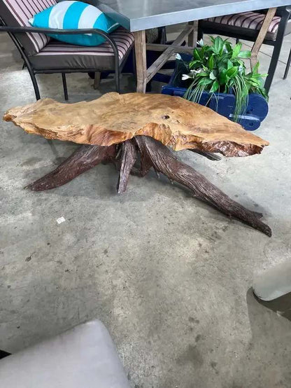 Live Edge Root Coffee Table