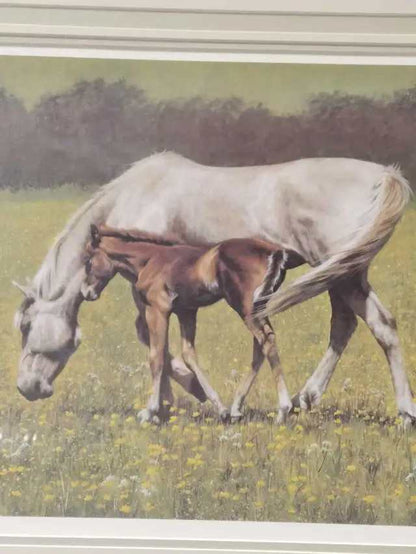 Horse and Foal Framed Print