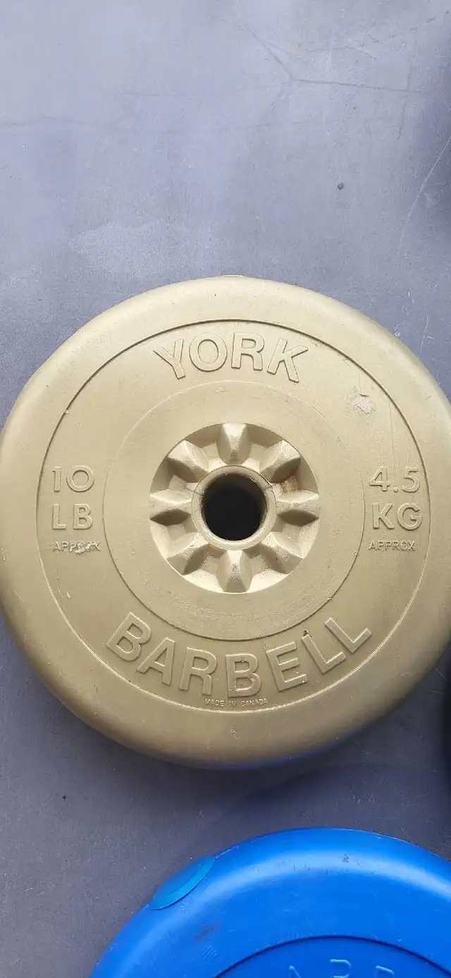 Weider and York Weight Plates - 5 Available