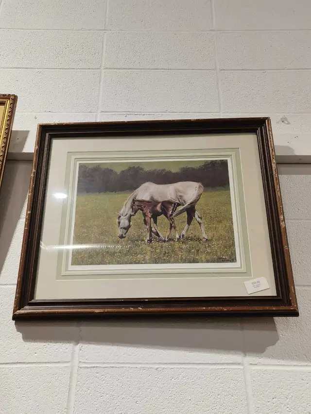 Horse and Foal Framed Print