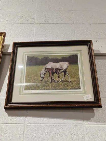 Horse and Foal Framed Print