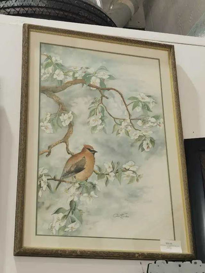 Colin Browne Bird Painting