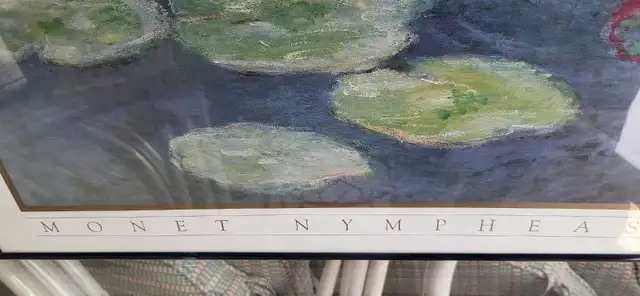 Monet Nymphéas Framed Print