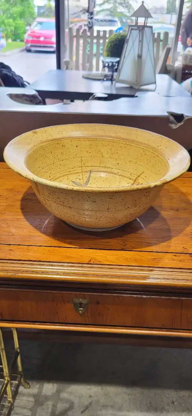 Clayhouse Pottery Bowl with Dragonfly Pattern - 11"