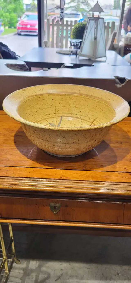 Clayhouse Pottery Bowl with Dragonfly Pattern - 11"
