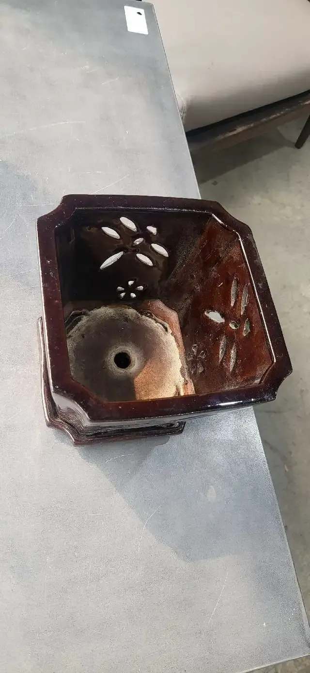 Ceramic Dragonfly Planter with Tray 7 x 7 x 6.5