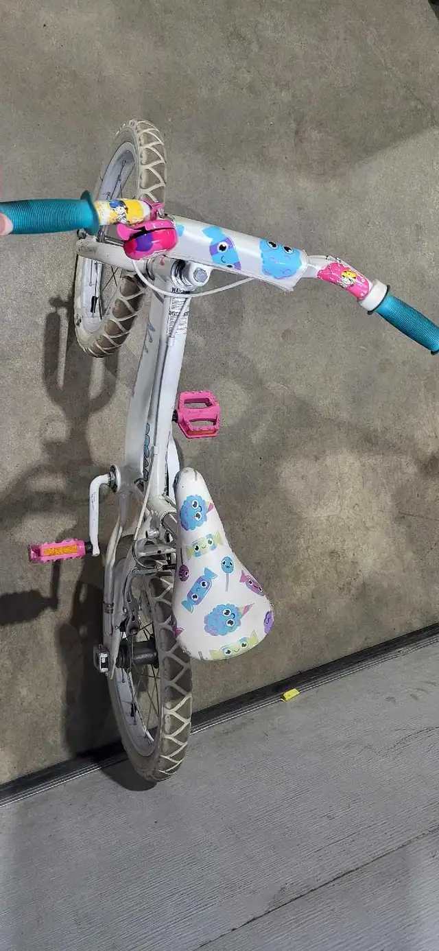 Nakamura Dream Bike ages 3-6