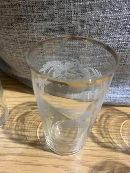 Vintage Grape Pattern Drinking Glasses - Set of 6