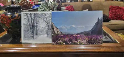 Framed Mountain and Forest Landscape Photographs - Set of 2