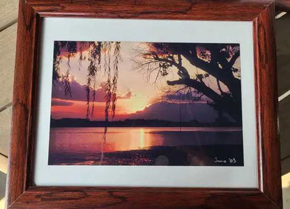 Set of 4 Framed Nature Photography Prints