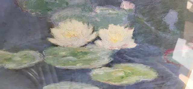 Monet Nymphéas Framed Print