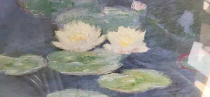 Monet Nymphéas Framed Print