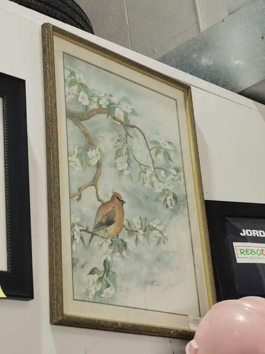 Colin Browne Bird Painting