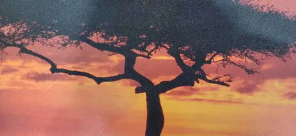 African Sunset Framed Wall Art