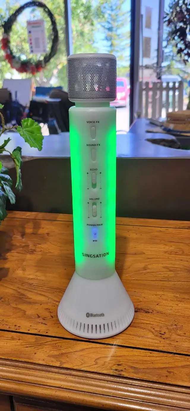 Singsation Karaoke Microphone