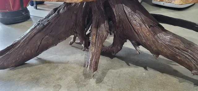 Coffee Table - Natural Live Edge Root