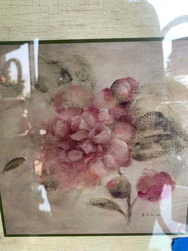 Blum Floral Framed Prints (set of 2)