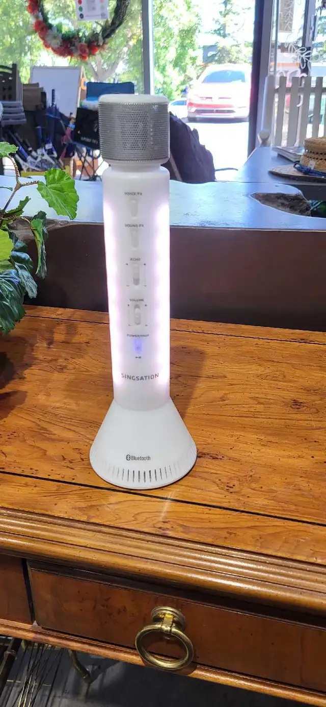 Singsation Karaoke Microphone