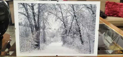 Framed Mountain and Forest Landscape Photographs - Set of 2