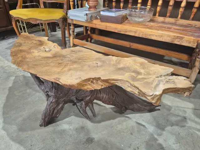 Live Edge Root Resin Coffee Table