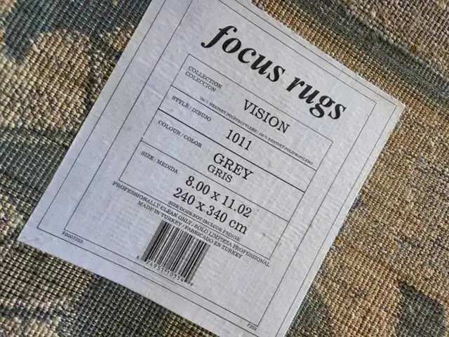 Focus Rugs Vision 1011 Area Rug