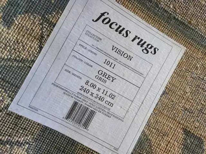 Focus Rugs Vision 1011 Area Rug