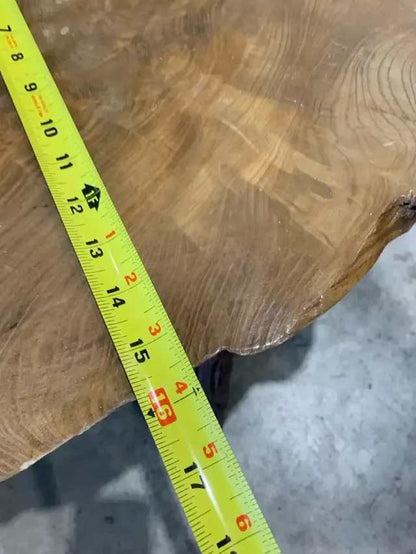 Live Edge Root Coffee Table