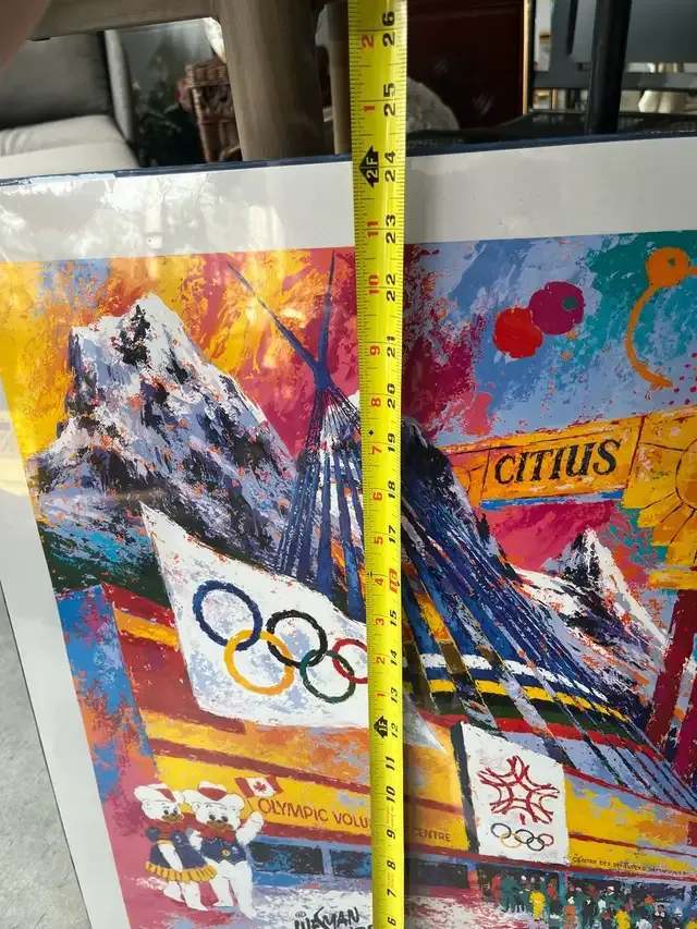 1988 Winter Olympics Print