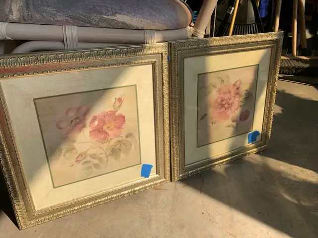 Blum Floral Framed Prints (set of 2)