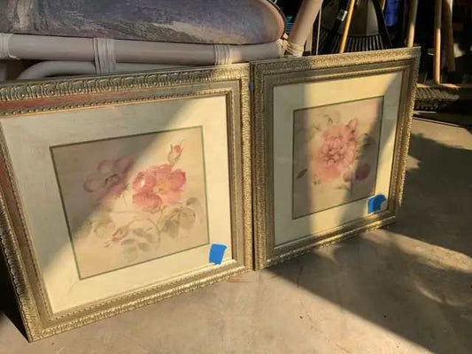 Blum Floral Framed Prints (set of 2)
