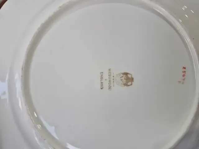 Wedgwood Floral Plates - Set of 9-