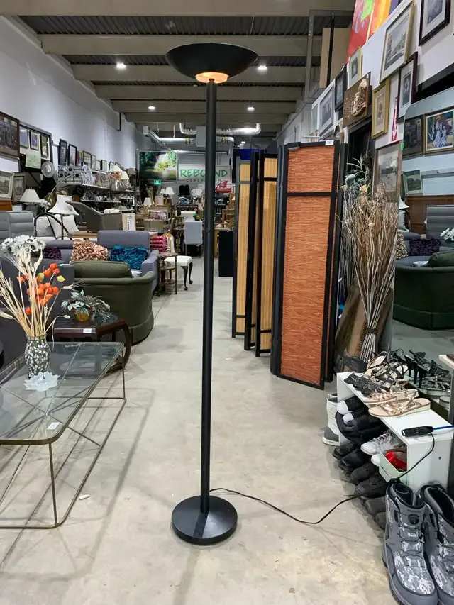 Modern Black Dimmable Floor Lamp