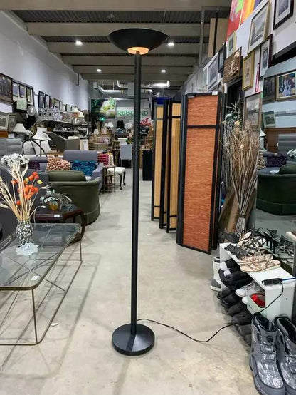 Modern Black Dimmable Floor Lamp