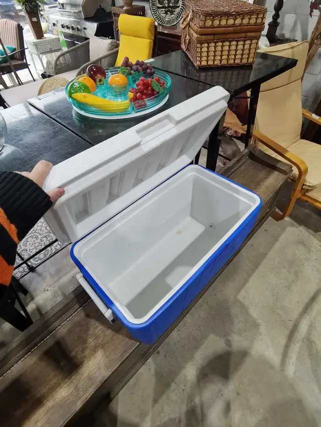 Blue Coleman Cooler