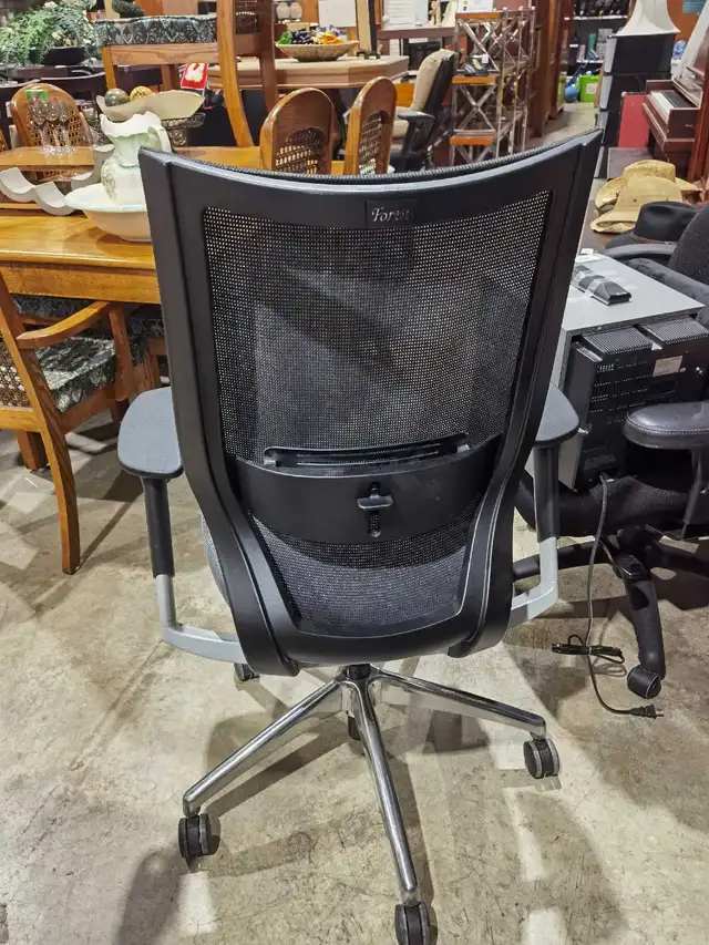 Fortis Ergonomic Office Chair