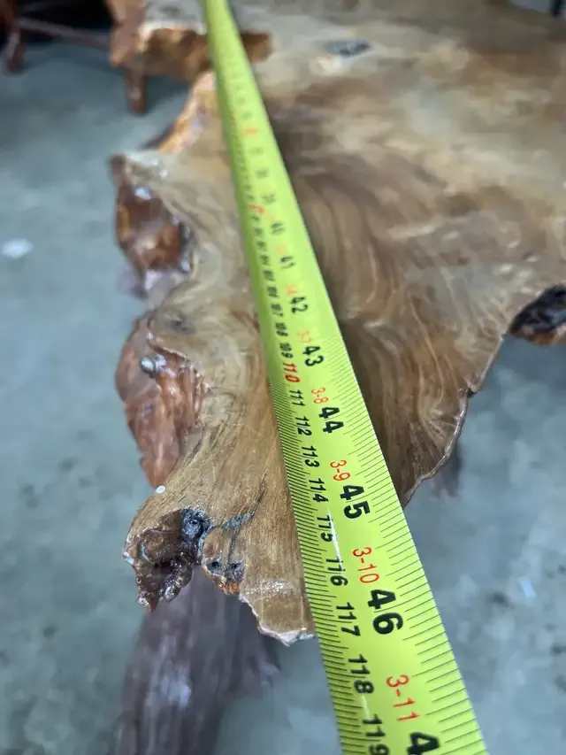 Live Edge Root Coffee Table