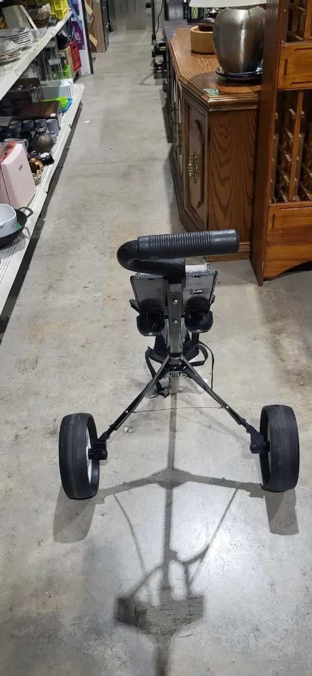 Gold Eagle Golf Cart