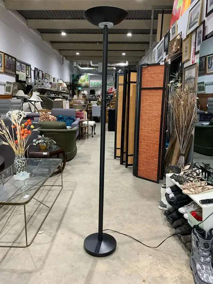 Modern Black Dimmable Floor Lamp